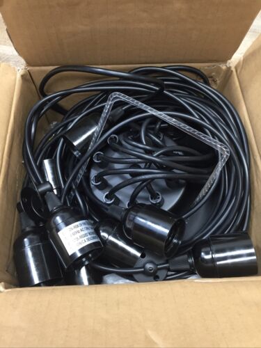 AS IS SEE NOTES T&A 10 Arms Spider Lamps Edison Style Ceiling Chandelier (6922810917047)